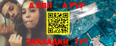 спайс Кингисепп