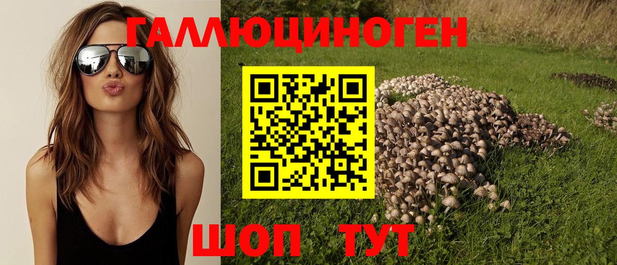 Псилоцибиновые грибы Psilocybine cubensis  Псилоцибиновые грибы Cubensis  Вход с VPN  Красногорск 