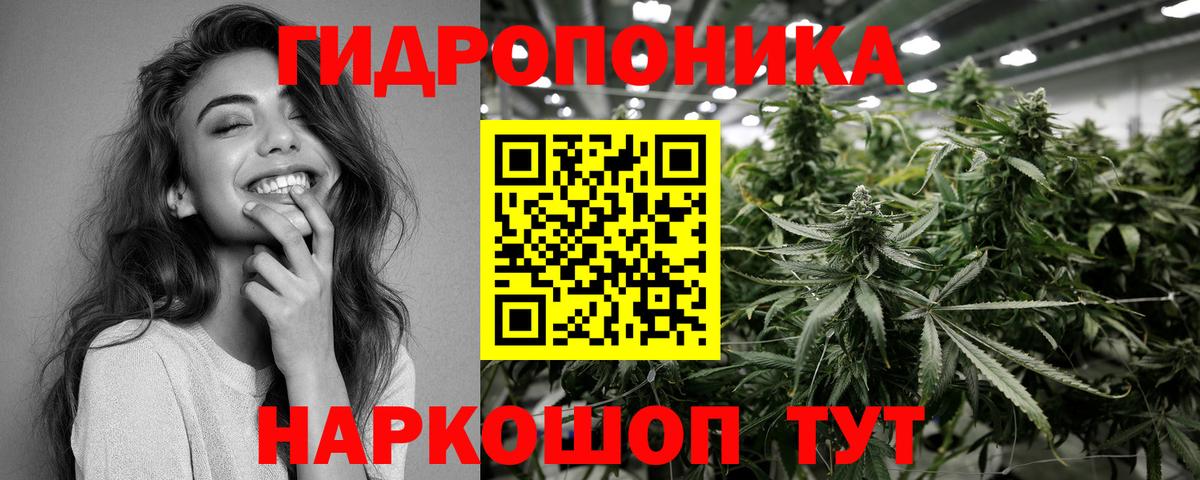 Красногорск  Бошки марихуана ГИДРОПОН  Вход с VPN  Бошки марихуана сатива 